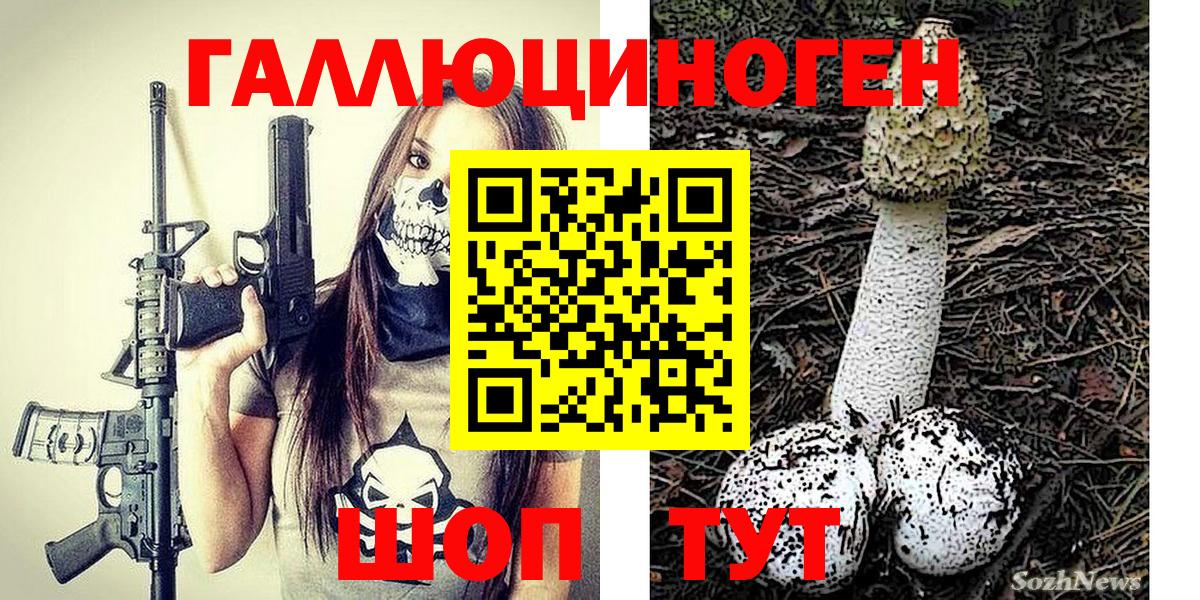 Мурино  Галлюциногенные грибы прущие грибы  Вход с VPN 